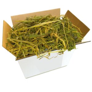 Erba Medica (Alfalfa) 5kg | Fieno Naturale di Erba Medica | Ricco di Fibre, Proteine e Calcio | Ideale per Conigli, Cavie, Piccoli Roditori e Cavalli | Crescita, Gestazione, Appetibilità